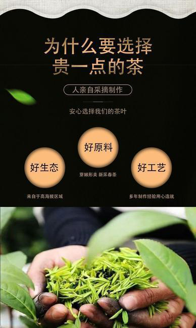 毛尖茶 新茶嫩芽信阳毛尖头采碎茶断芽茶叶浓香口粮茶 毛尖茶 新茶嫩芽信阳毛尖头采碎茶断芽茶叶浓香口粮茶