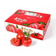 普罗旺斯水果西红柿生吃沙瓤小番茄爆汁新鲜自然熟蔬菜草莓柿子