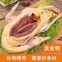 冷冻黄皮鸭农家散养带掌带翅黄皮土鸭5斤老鸭子整只先杀新鲜