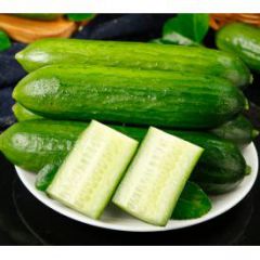 黄瓜新鲜生吃小黄瓜5斤小青瓜蔬菜农家现摘现发带箱